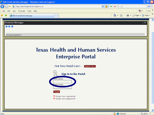 Screenshot of Enterprise Portal Logon page